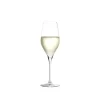 Stölzle Lausitz Stölzle EXQUISIT Champagnerglas | 6 Stk. 5